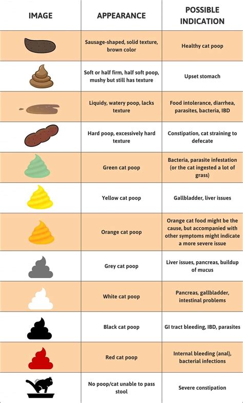 cat black poop|cat poop chart meaning.